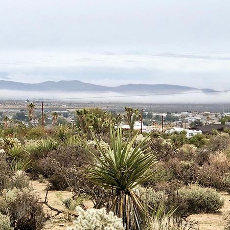 Cozy Desert Retreat With Amazing Views Only 4 Miles To Jtnp Джошуа-Трі Екстер'єр фото